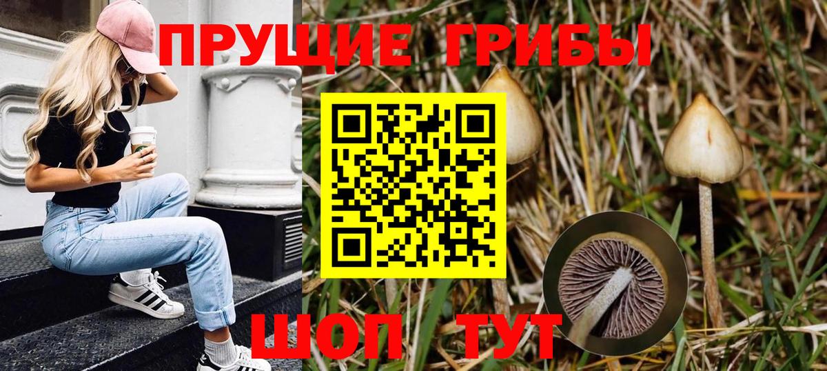 Галлюциногенные грибы MAGIC MUSHROOMS Грозный