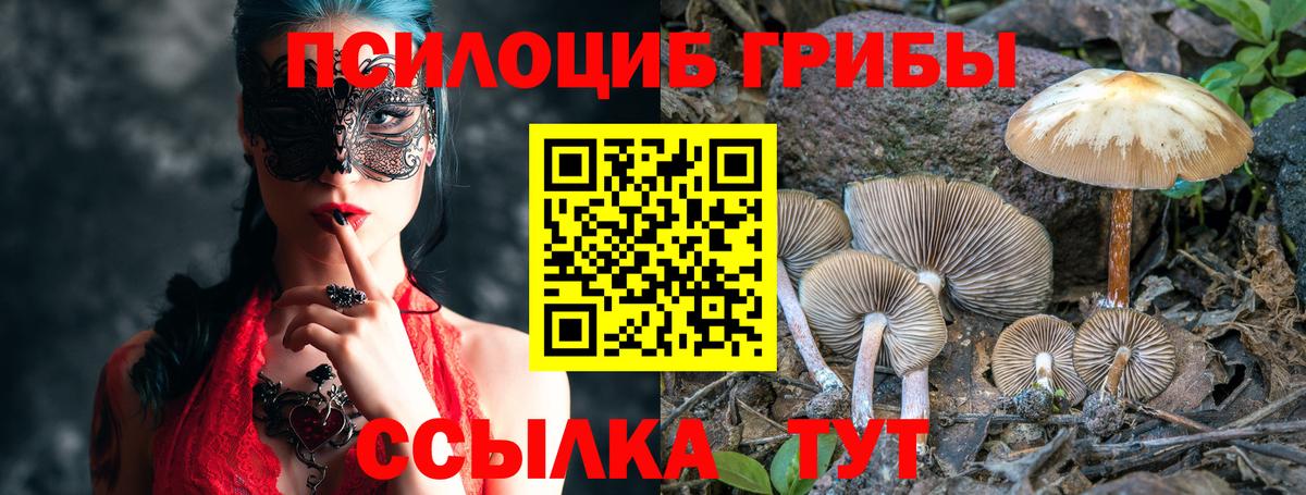 Грозный  Псилоцибиновые грибы Magic Shrooms  Вход с VPN  Псилоцибиновые грибы GOLDEN TEACHER 